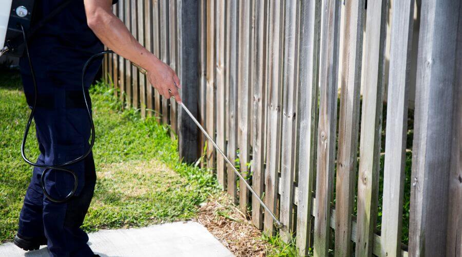 Why choose Office Building Treatments Park City for office building treatments in Park City